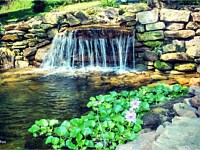 Charming Farmhouse Stream & Pond