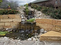 Backyard Pool & Patio Retreat