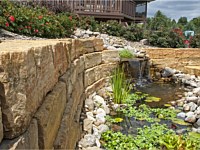 Backyard Pool & Patio Retreat